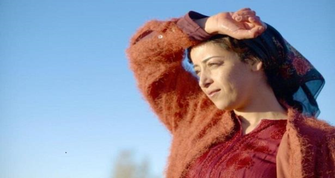 الجميع يحب تودا" يتوج بجائزتين"