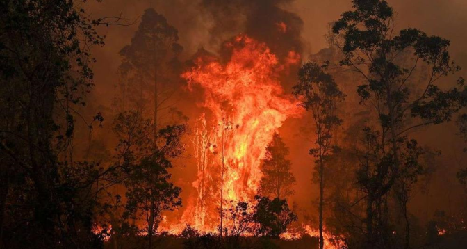 Incendies de forêt 2023 : plus de 500.000 ha partis en fumée en Europe