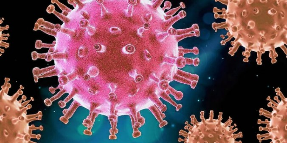 Covid-19 : le point sur la pandémie dans le monde

