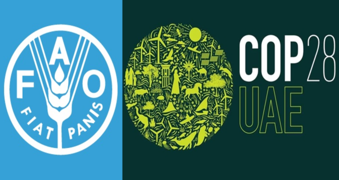 COP28 : Les messages clés de l’agenda de la FAO