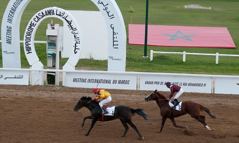 الفرس "ريسك تو" يفوز بالجائزة الكبرى للملك محمد السادس للخيول العربية الأصيلة