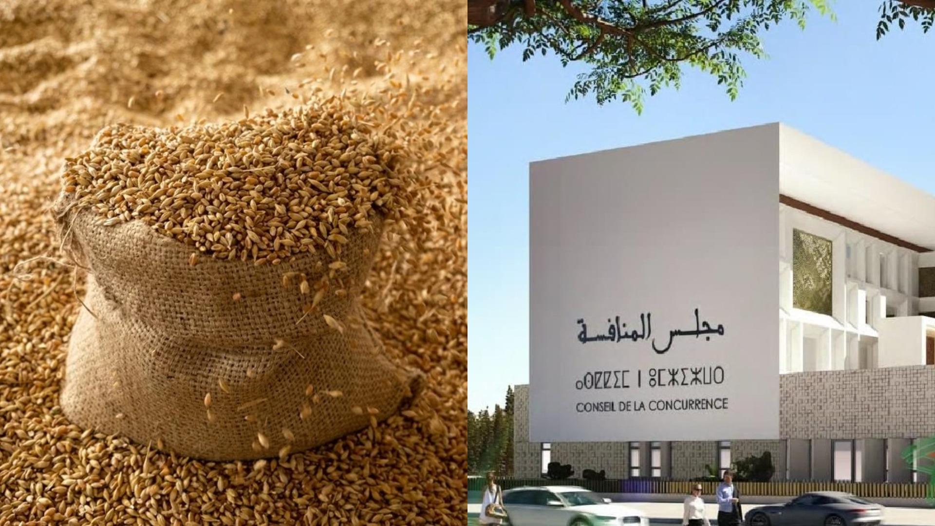 مجلس المنافسة يكشف عن فوارق صارخة في توزيع الدعم العمومي الموجه للقمح اللين