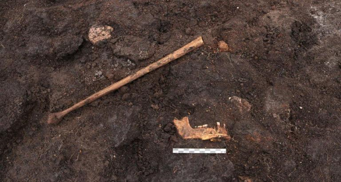 Découverte au Danemark des restes d’un sacrifice humain vieux de 5.000 ans