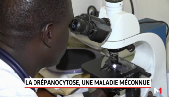 Sénégal: Zoom sur la drépanocytose, une maladie génétique rare 